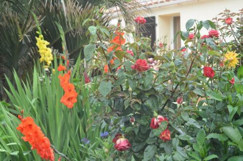 Bed & Breakfast Chambres D'h�tes La Forterie