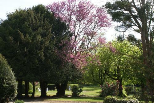 Bed & Breakfast Le B�guinage