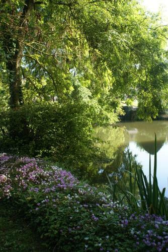 Bed & Breakfast Le B�guinage