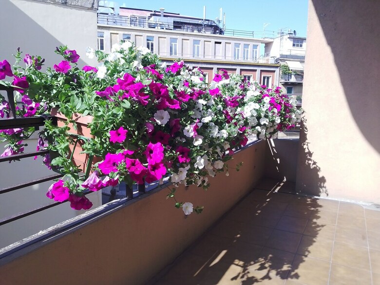 Hotel L'opera Rooms