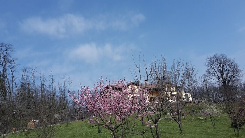 Agroturismo Agriturismo Cascina Aurora