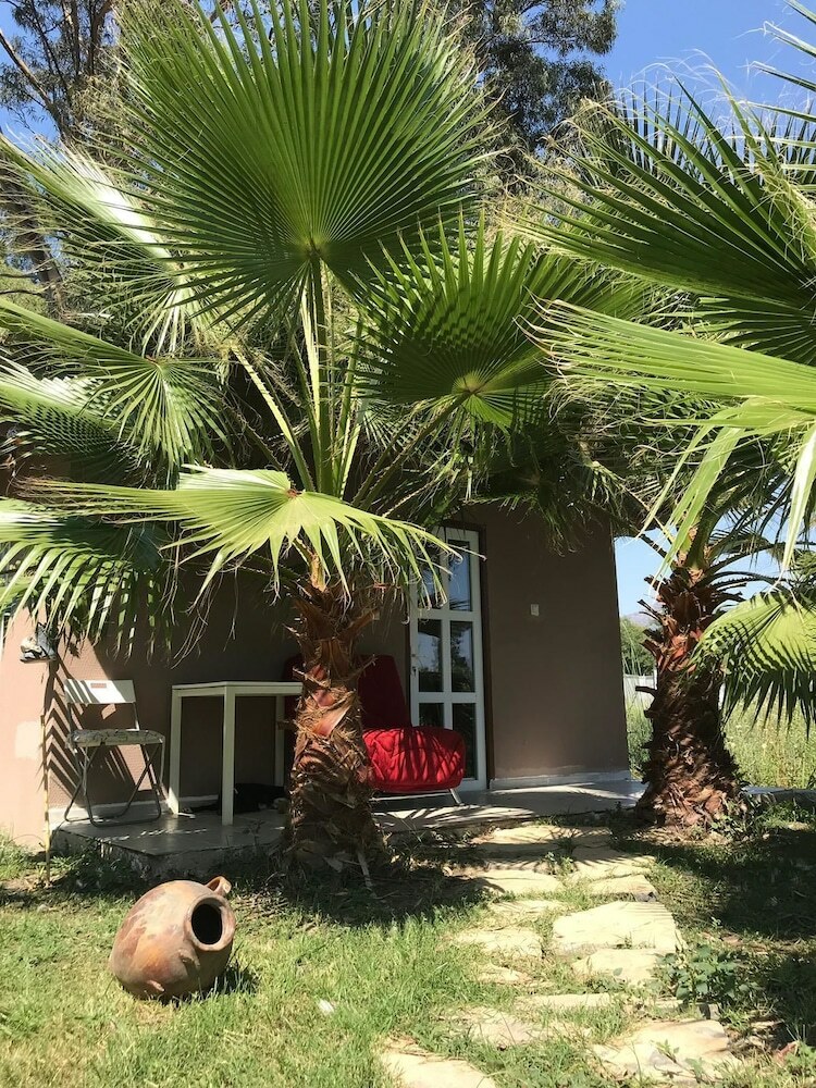 Hotel Daidala Life