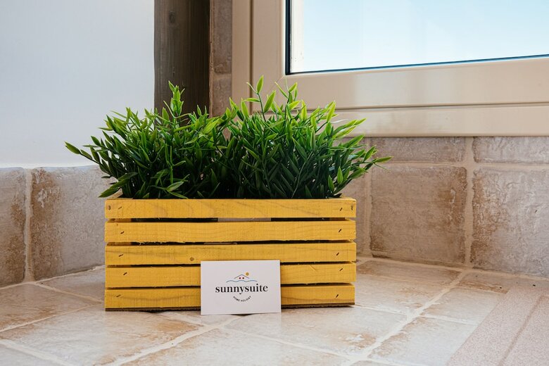 Apartamento Sunnysuite