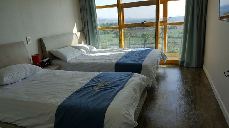 Hostal The Freedom - Hostel