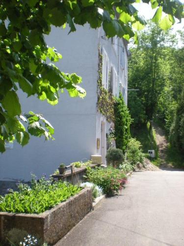 Apartamento Gite L'eau-vive