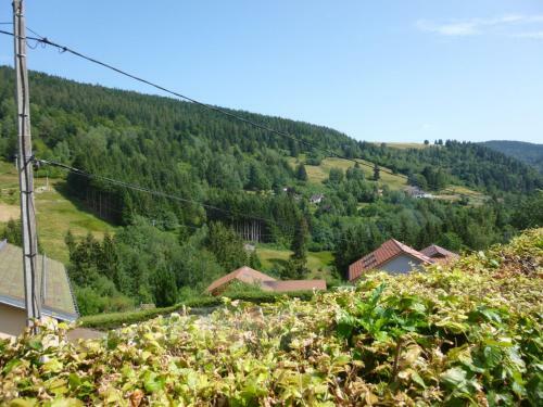 Rupt Du Moulin Ventron