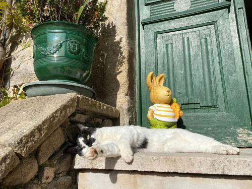 Hostal Le Clos St Georges