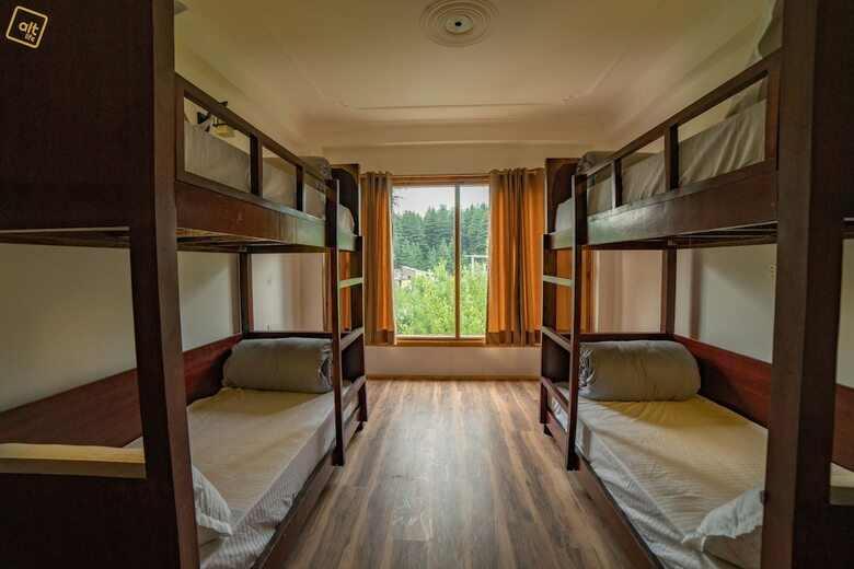 Hotel Alt Life Manali