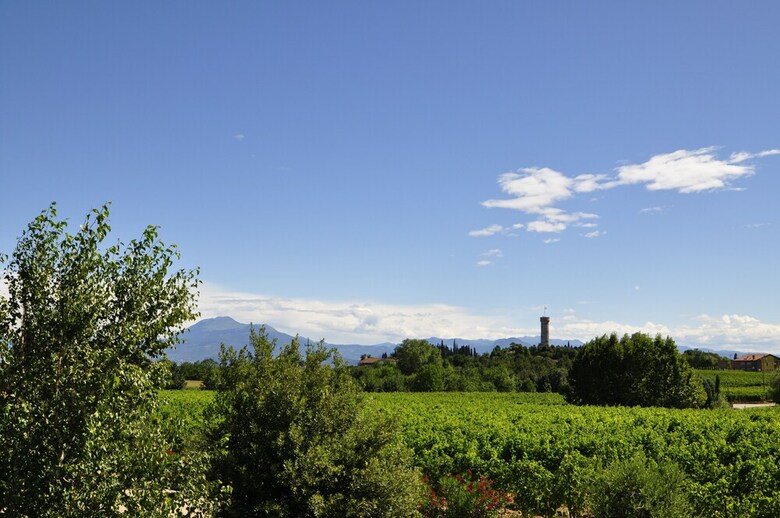 Agroturismo Borgo San Donino - Selva Capuzza