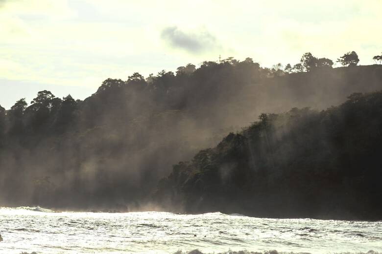 Hostal Selina Shared Manuel Antonio