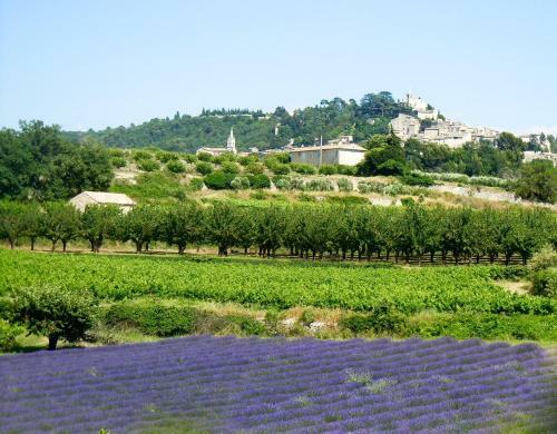 Hotel Le Clos Du Buis
