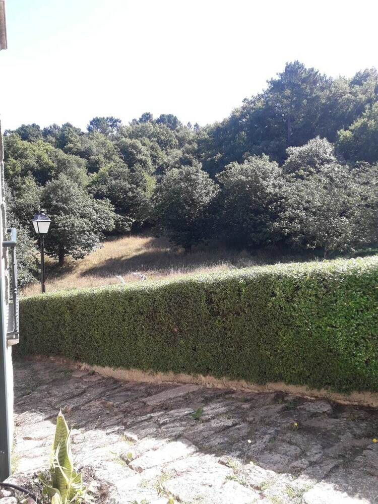 Hotel R�stico A Forxa
