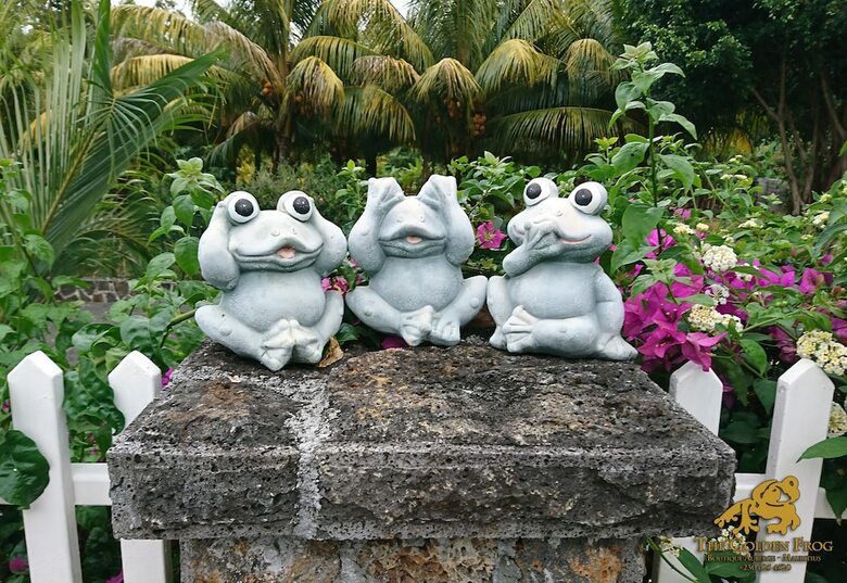 Hotel The Golden Frog