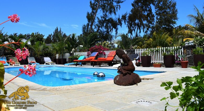 Hotel The Golden Frog