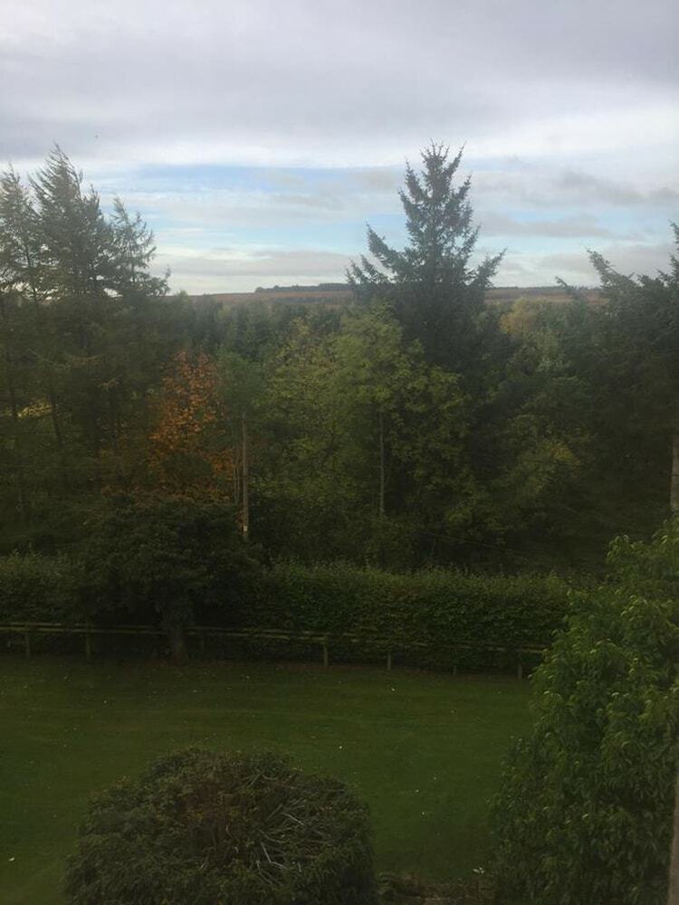 Bed & Breakfast Braeside