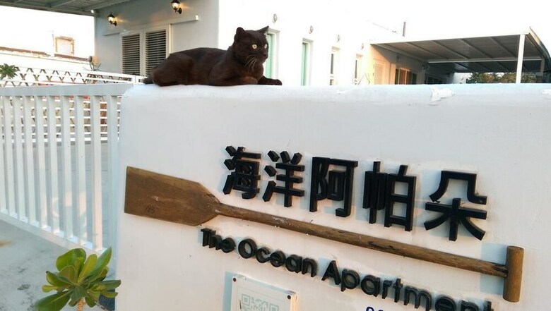 Bed & Breakfast The Ocean Apartment