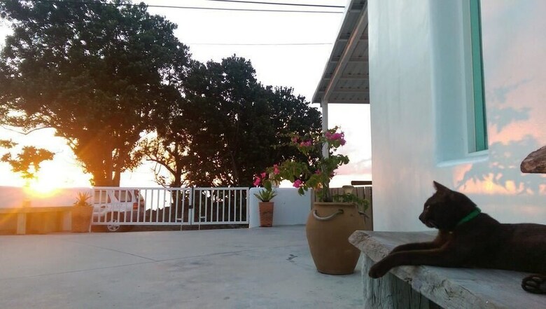 Bed & Breakfast The Ocean Apartment