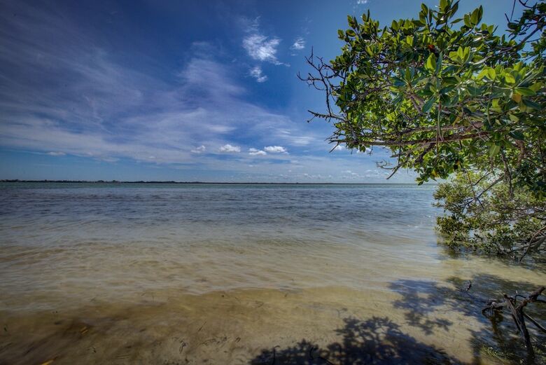 Longboat Key Cedars Resort