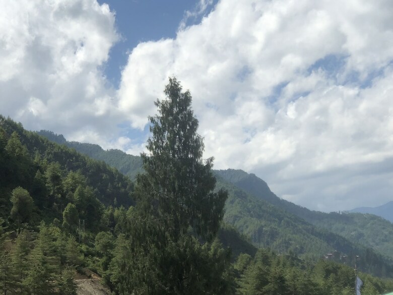Hotel The Ugyen