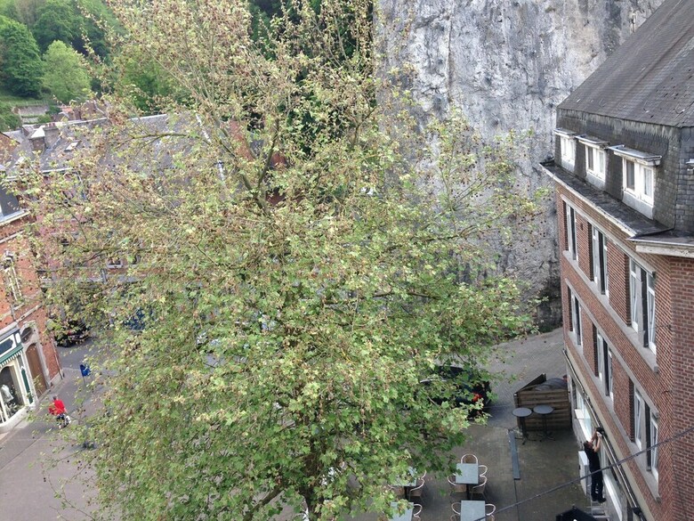 Hotel L'inattendu Sur La Croisette Dinant Centre