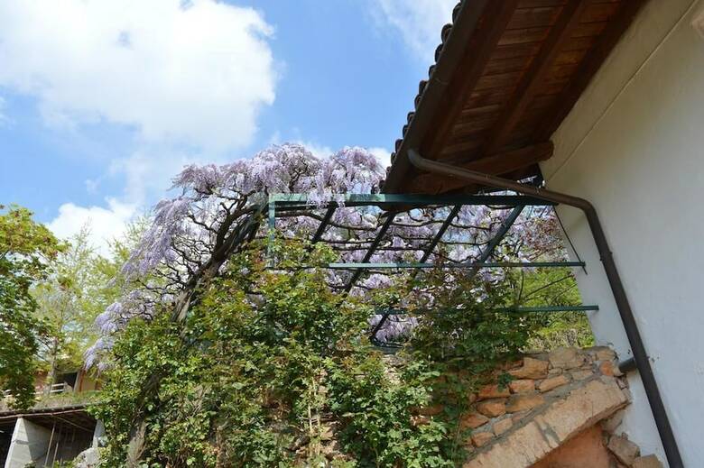 Bed & Breakfast L'uovo E La Faina