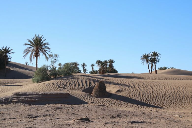 Posada Nomadic Life Camp