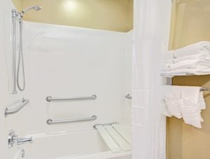 Hotel Microtel Inn & Suites By Wyndham Bushnell