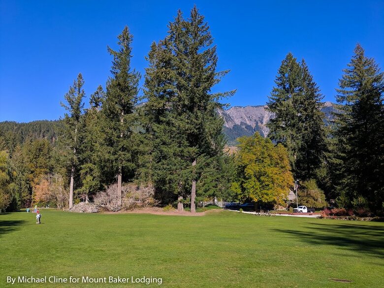 Mt. Baker Lodging Cabin 35 ? A/c, Pets Ok, Sleeps 6! By Mbl