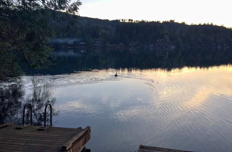 Mt. Baker Lodging Cabin 97 ?lakeside, Dock, Sleeps 6! By Mbl