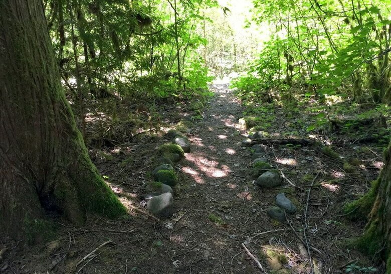 Mt. Baker Lodging Cabin 70 ? Riverside, Wifi, Sleeps 8! By Mbl