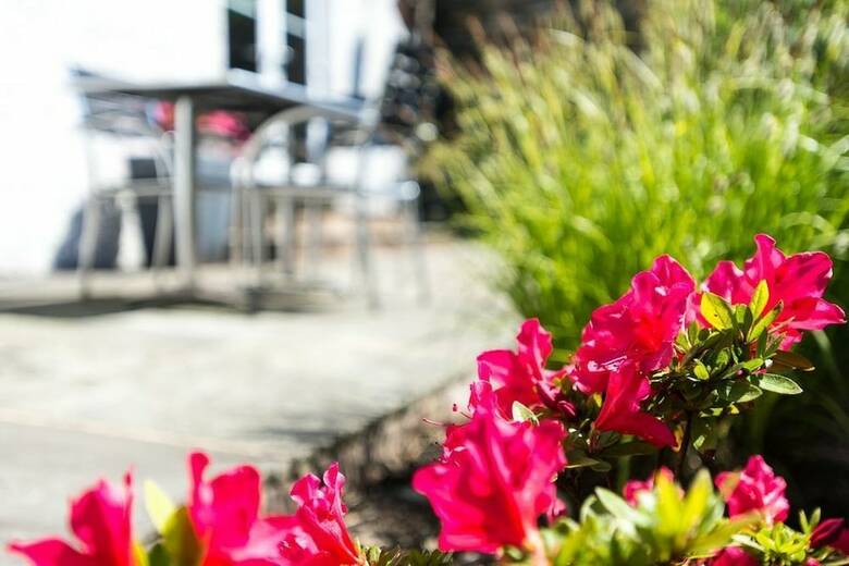 Bed & Breakfast Windermere Suites