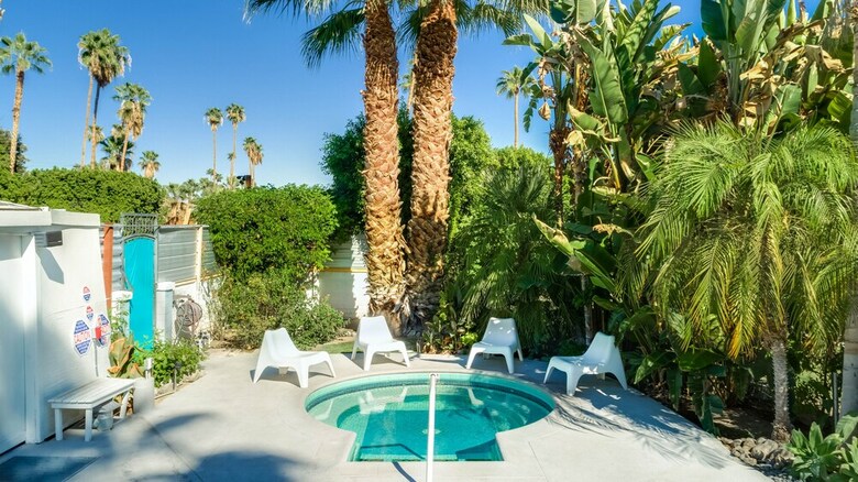 Motel Bellevue Oasis