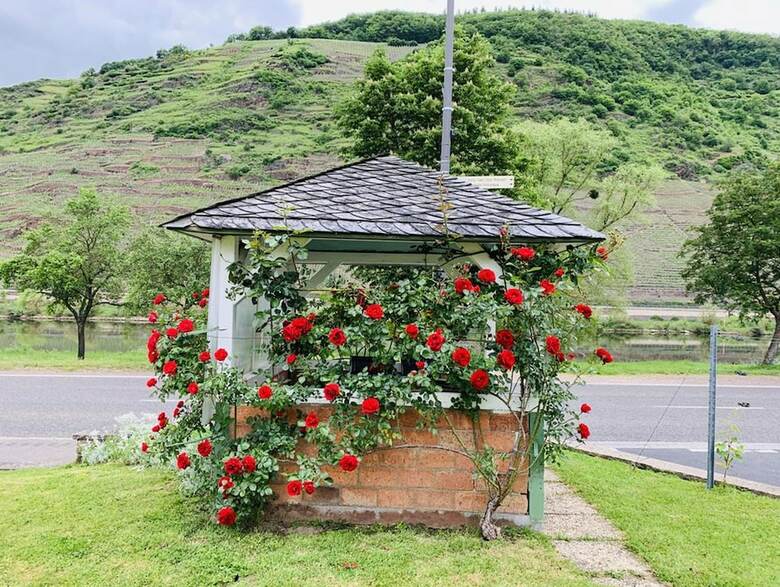 Hotel Weinbergs Loge