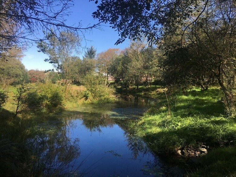 Brynllwyd Glamping