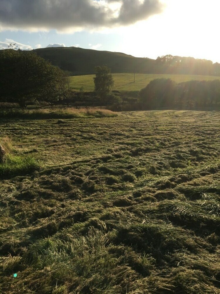 Brynllwyd Glamping