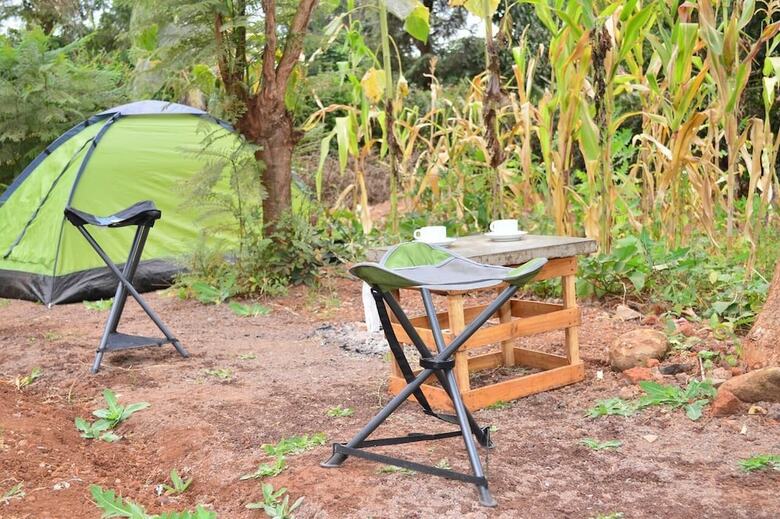 Hostal African Wagtail Hostel