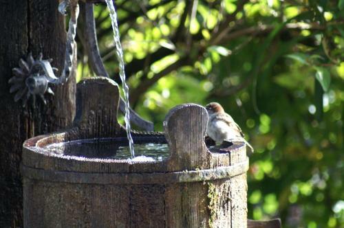 Alpenhof Landhotel Restaurant