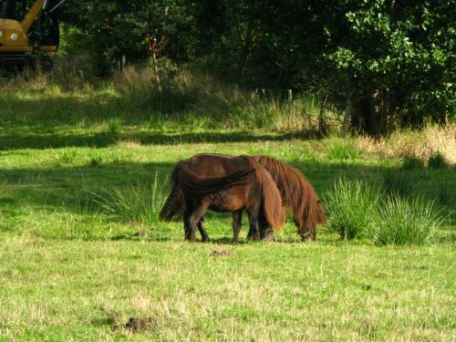 Hostal Spreew�lder Naturlandhof Pension
