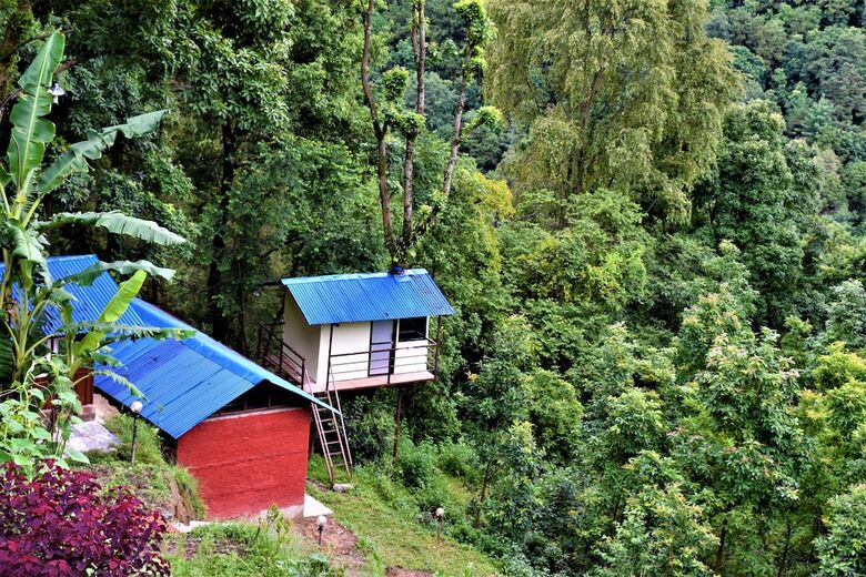 Hotel Jungle Crown Organic Homestay