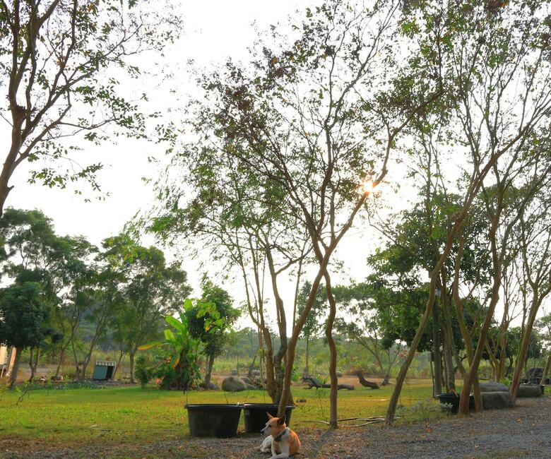 Hotel Inn By Tree