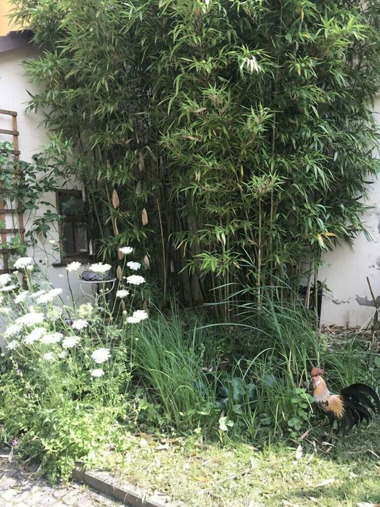 Tante Berg B&B