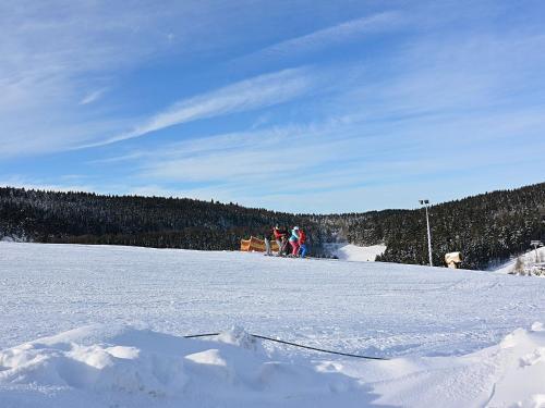 Holiday Home Im Wiesengrund Winterberghildfeld