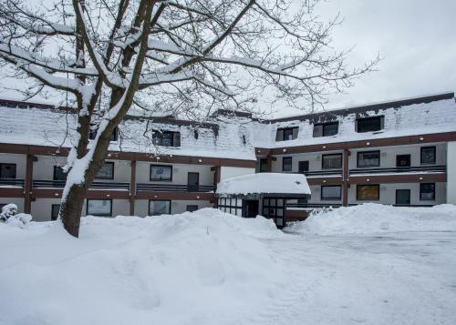 Apartment Golfhof