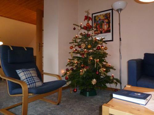Apartment J�ngst