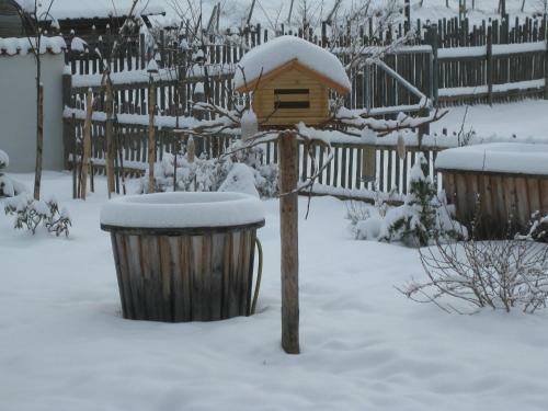 Suzanne's B&B & Gardens