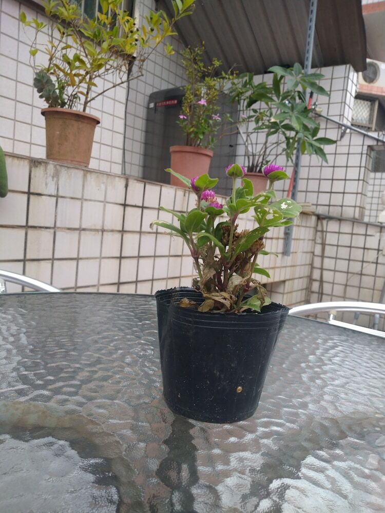 Bed & Breakfast Kinmen Happy Homestay