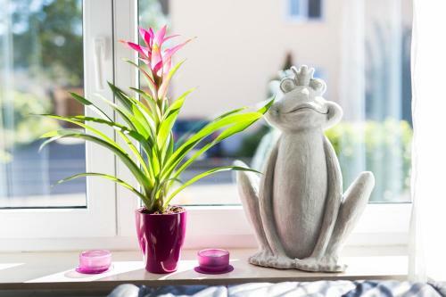 Apartamento Fewo-barbara-rust