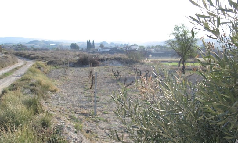 Agroturismo Cortijo Los Nogales