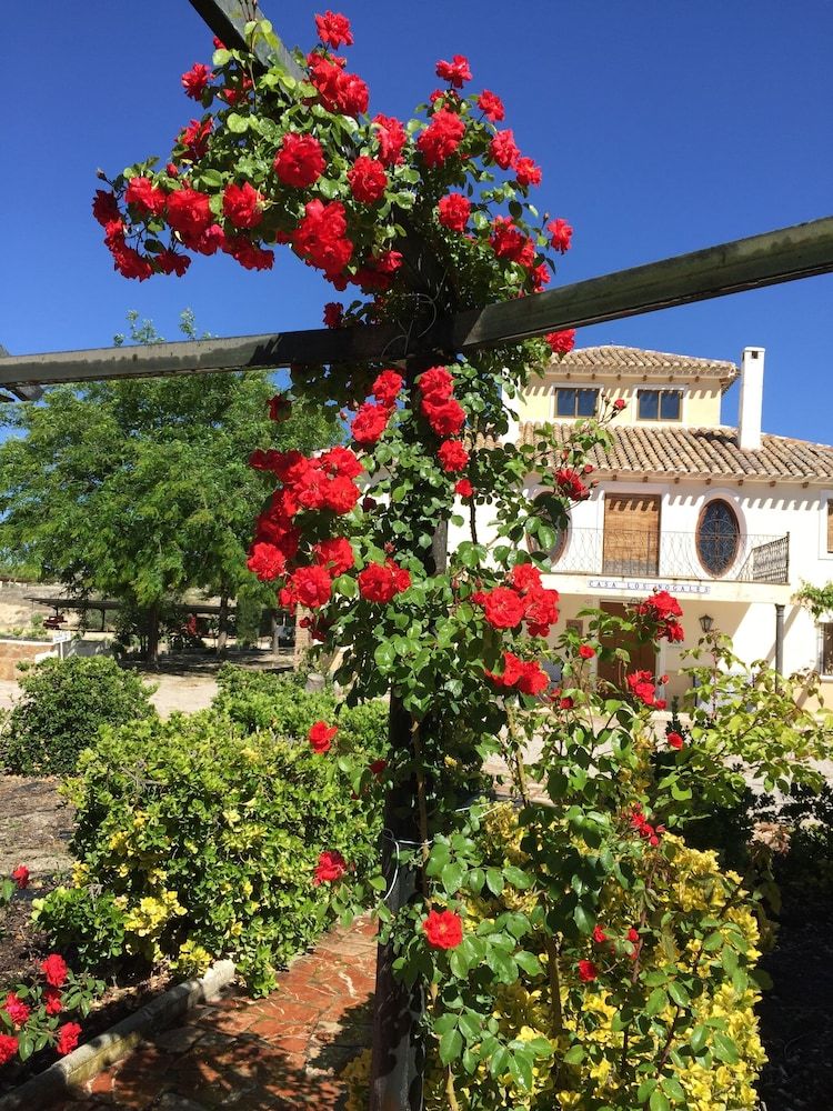 Agroturismo Cortijo Los Nogales