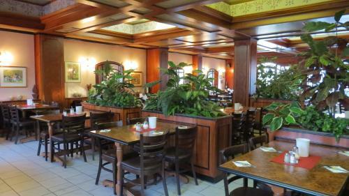Hotel Rebstock
